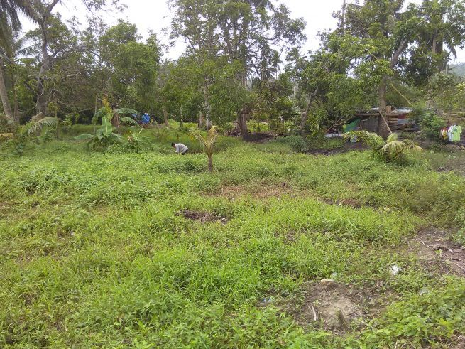 "Agricultural/Residential