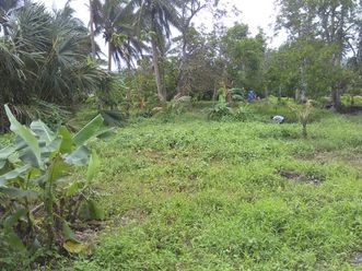 "Agricultural/Residential land for lease in brgy. Concepcion, Plaridel,"02