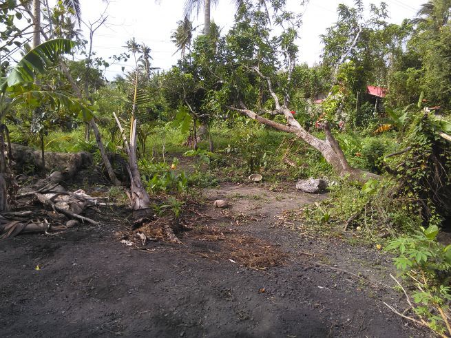 "Agricultural/Residential land for lease in brgy. Concepcion, Plaridel,"03