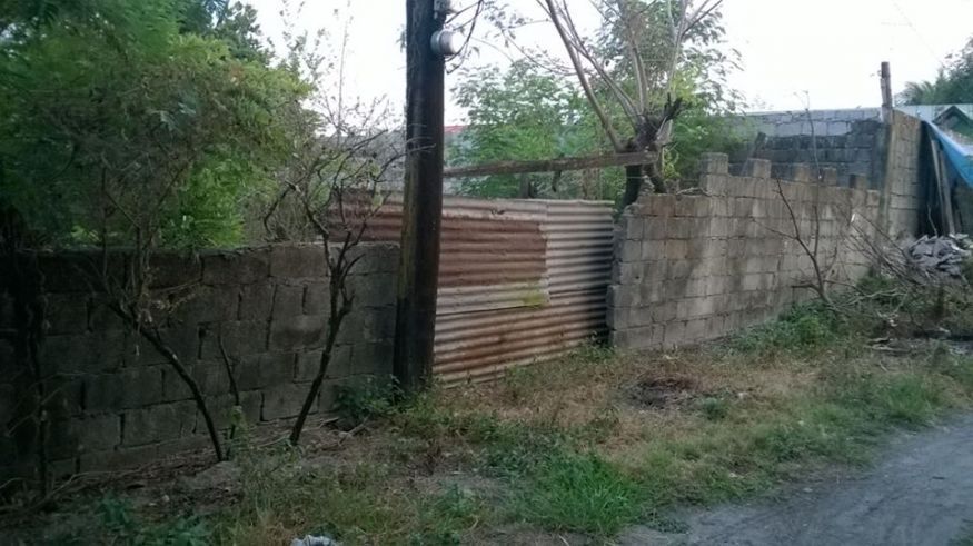 "For Lease Lot near S&amp;R Mall Dau, Mabalacat, Pampanga"01