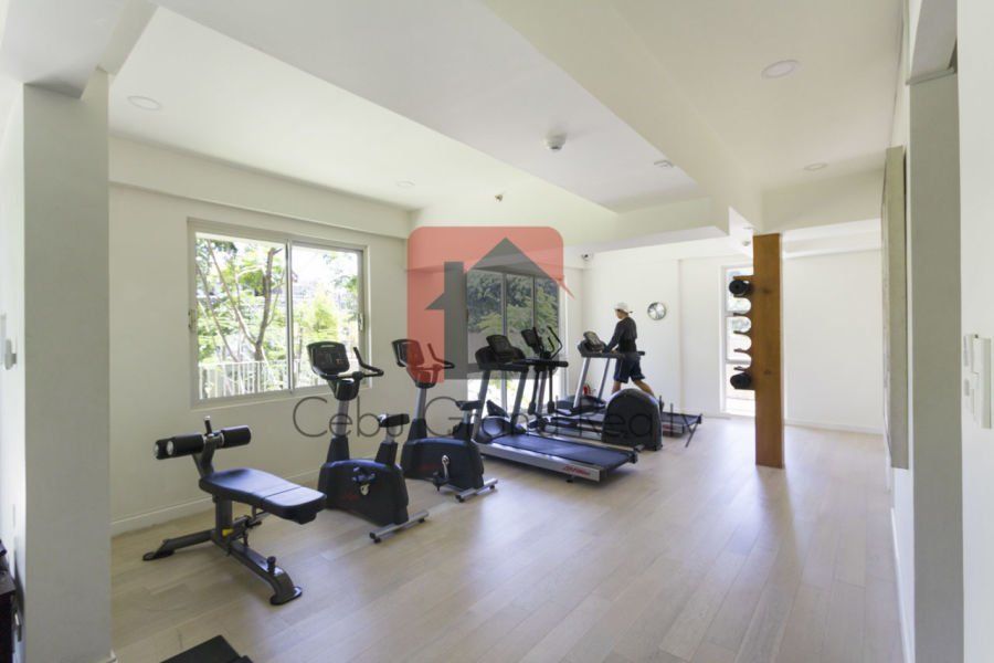 Spacious Studio for Rent in 32 Sanson.03