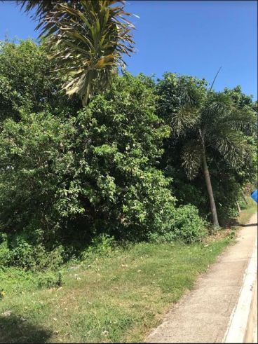 "CL - For Lease : 8,772 sqm. Commercial Lot in Manghinao, Batangas"04