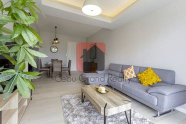 Modern 2 Bedroom Condo for Rent in Lahug.02