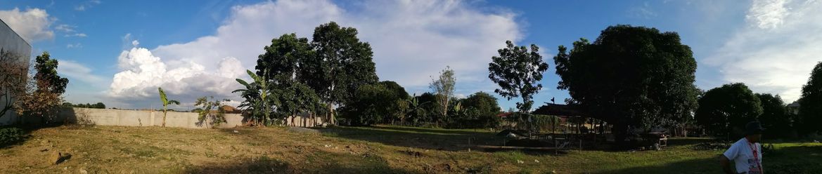 "Lot (1,000+ sqm) for Rent in Timbao, Bi?an, Laguna"02