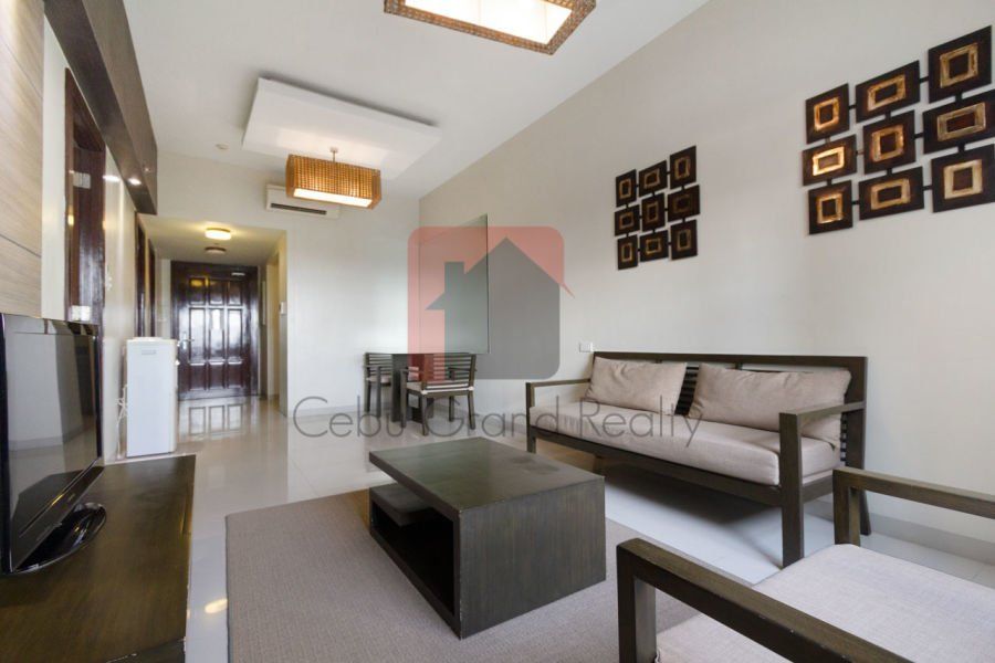 1 Bedroom Condo for Rent in Avalon Condominium.04