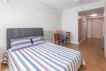 Brand New Furnished Studio with Parking for Rent in Solinea.02