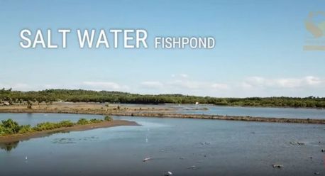 "Salt Water Fishpond For Lease @ Brgy. San Vicente, Padre Burgos, Quezo"02