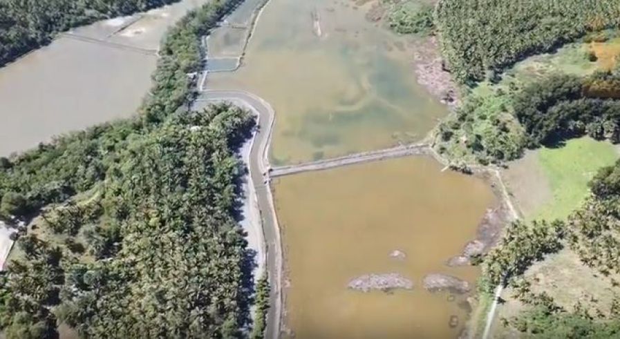 "Salt Water Fishpond For Lease @ Brgy. San Vicente, Padre Burgos, Quezo"03