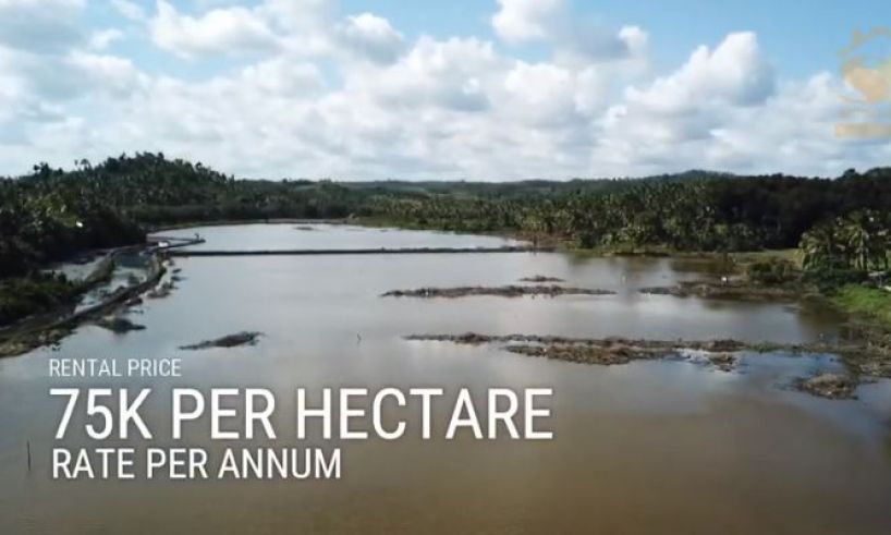 "Salt Water Fishpond For Lease @ Brgy. San Vicente, Padre Burgos, Quezo"04