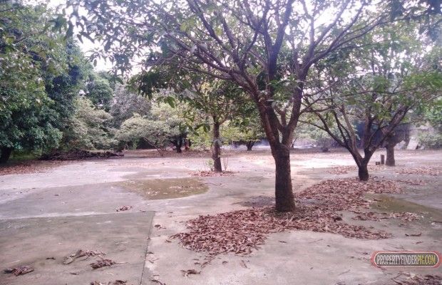 For Lease Vacant Lot near Mindanao Ave. ExtIdeal for truck garage03