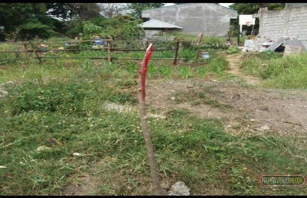 For lease lotor for sale in Valenzuela01