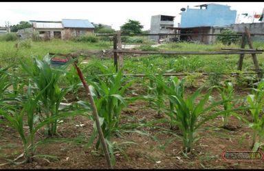 For lease lotor for sale in Valenzuela02