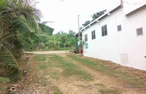 Commercial/shop building for rent with a small house04