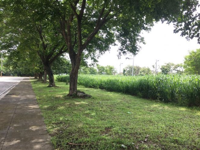 "Commercial Lot for Lease in Greenfield Auto Park, Sta. Rosa, Laguna"03