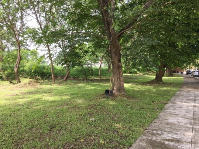 "Commercial Lot for Lease in Greenfield Auto Park, Sta. Rosa, Laguna"04