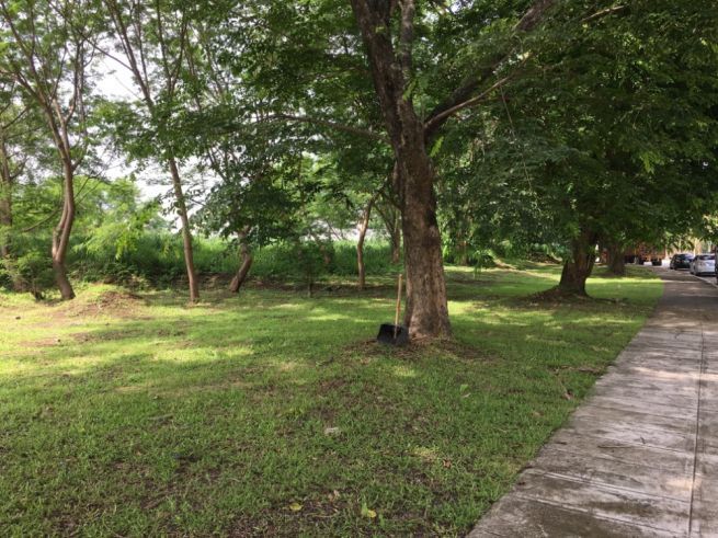 "Industrial Lot for Lease in Sta. Rosa City, Laguna"04