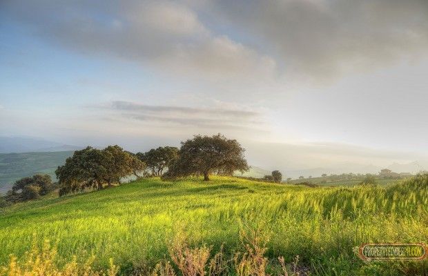 Tanauan Batangas For Rent Lease Agricultural Land Property Lot03