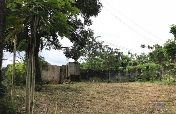 "Silang, Cavite near Tagaytay city 860 sqm vacant lot for lease"04