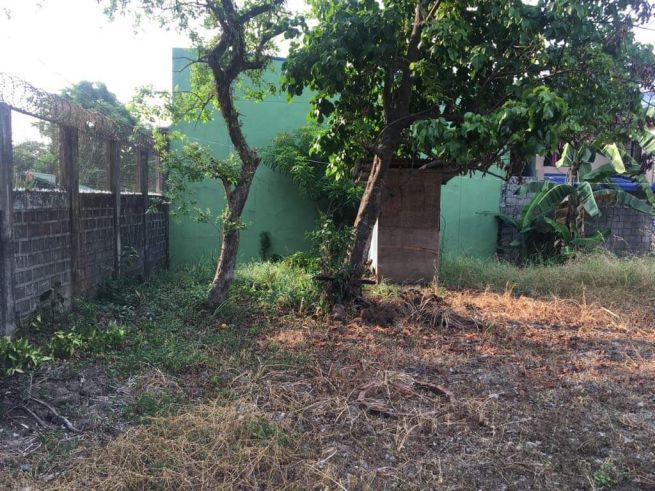 For Rent Vacant Lot With Bahay Kubo05