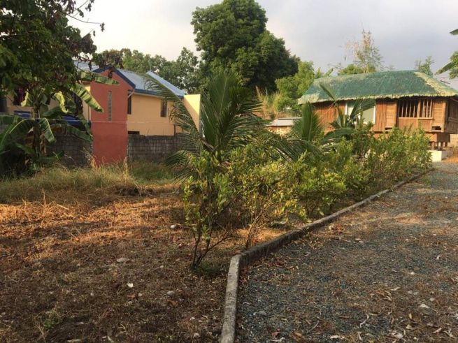 For Rent Vacant Lot With Bahay Kubo06