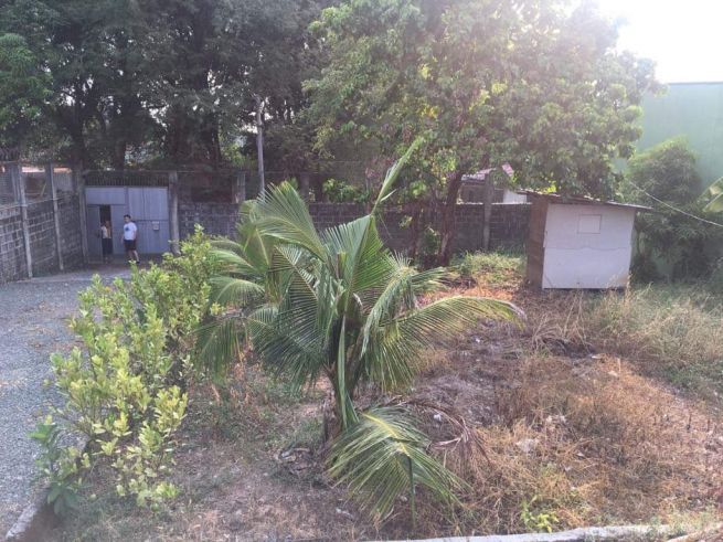 For Rent Vacant Lot With Bahay Kubo09