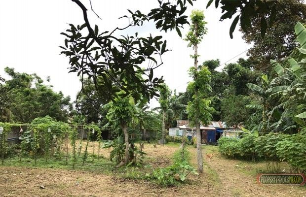 "Vacant lot for lease - 860 sqm in Silang, Cavite"03