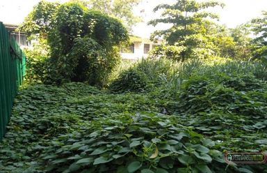 For Lease Vacant Lot02