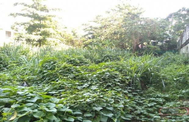 For Lease Vacant Lot04