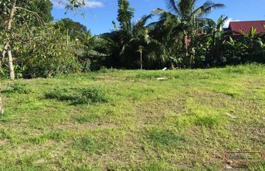 "Lot for lease in Amadeo, Cavite"02