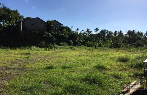"Lot for lease in Amadeo, Cavite"03