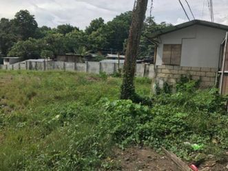 "4665 sqm Lot for Rent in Jagobiao, Mandaue City, Cebu"02