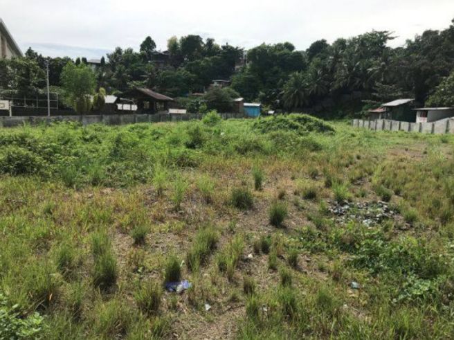 "4665 sqm Lot for Rent in Jagobiao, Mandaue City, Cebu"03