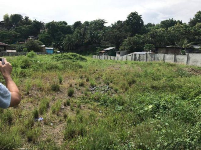 "4665 sqm Lot for Rent in Jagobiao, Mandaue City, Cebu"04