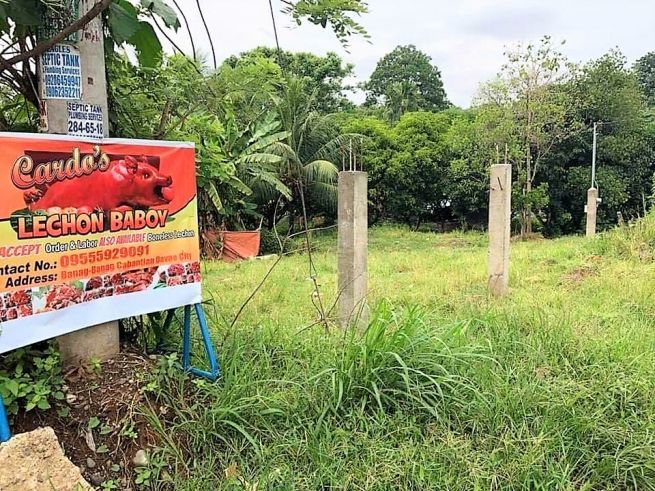 500sqm Lot for Rent in Communal Buhangin Davao City04