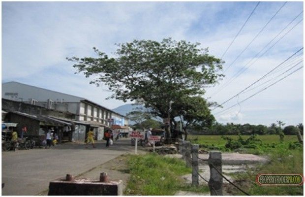 LOT FOR LEASE03