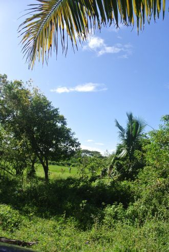 Vacant Lot For Rent03