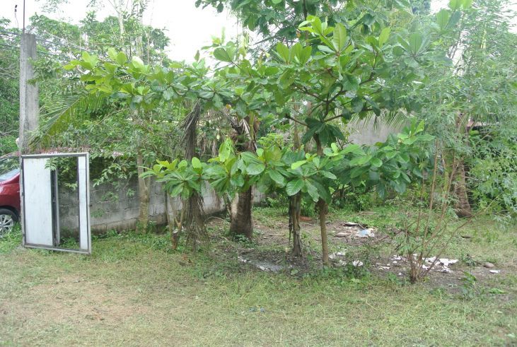 Vacant Lot For Rent04