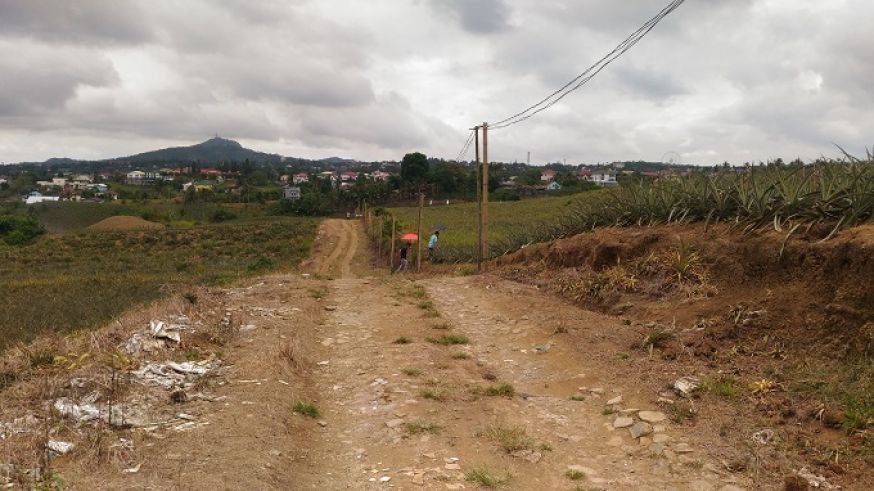 Commercial/Agri. Lot For Lease in Tagaytay (PL#5375)03