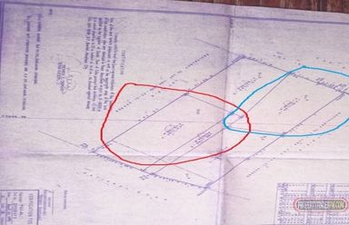 LOT FOR RENT IN SANGAT SAN FERNANDO CEBU PHILIPPINES02