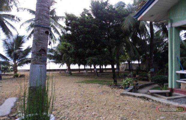 Beautiful Beach House For Rent in Compostela Cebu with a big yard.04
