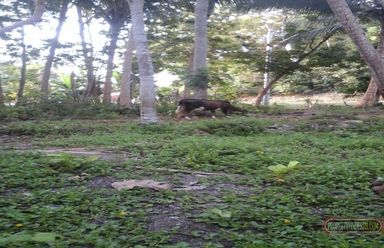 Land is located along the highway about 10 meters away from the shorel02