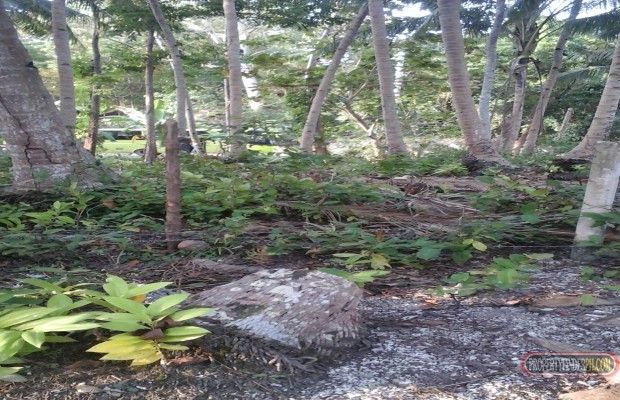 Land is located along the highway about 10 meters away from the shorel04