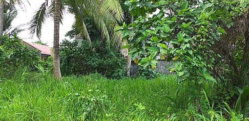 Open Space for Lease02