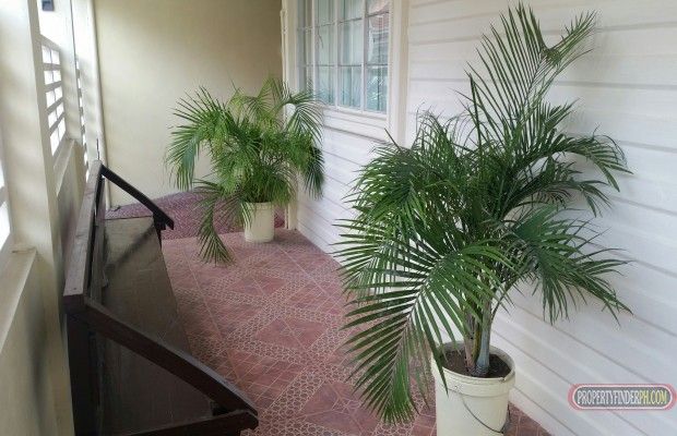 Fresh and Furnished 3 Bedroom House for Rent04