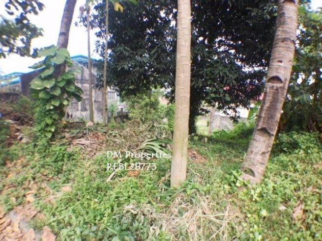 "For Lease/Rent: Vacant Lot in Filinvest 2, Batasan Hills, Quezon City"03