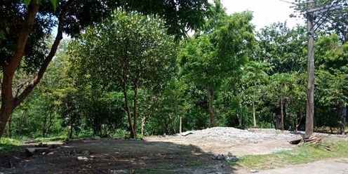 For Rent Vacant Lot Bacoor Cavite near Daang Hari02