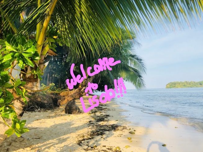 "Beachfront Property for Lease Lisob, Siargao Island - Philippines"01