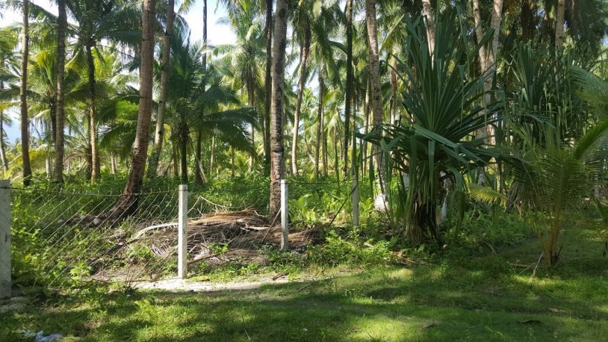 "Beachfront Property for Lease Lisob, Siargao Island - Philippines"04