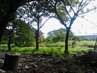 1 Hectare Commercial Lot with Warehouse for Lease Paranaque City02