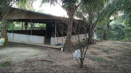 "Commercial Lot For Lease in Bulihan, Malvar, Batangas"02